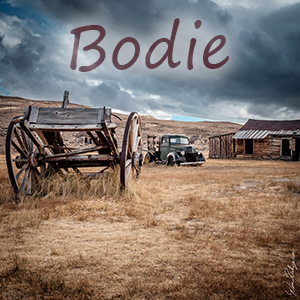 Bodie