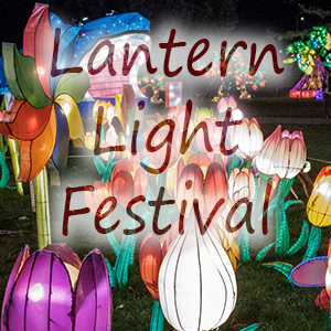 Lantern Light Festival