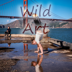 Wild Art