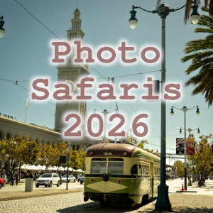 _photo_safari_index
